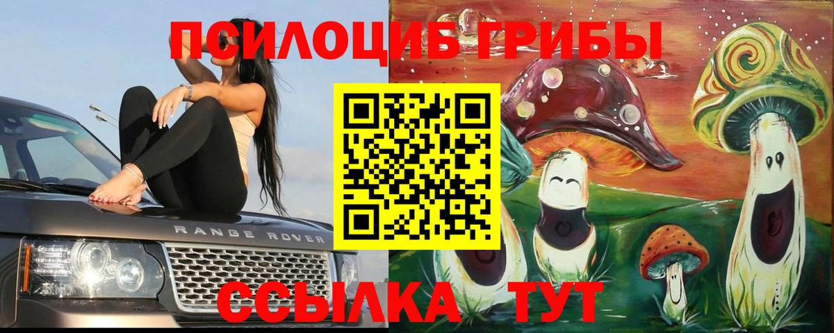 Галлюциногенные грибы мицелий  Вход с VPN  Печора 