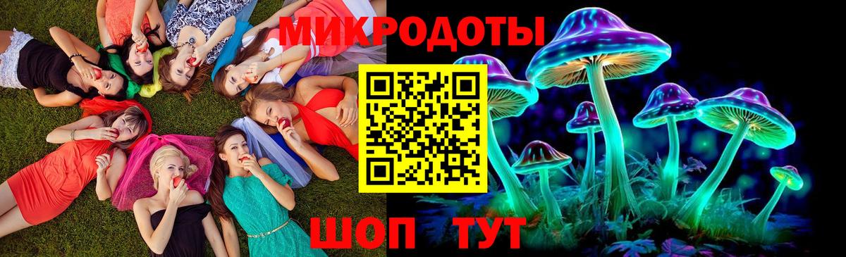 Псилоцибиновые грибы Psilocybe Печора