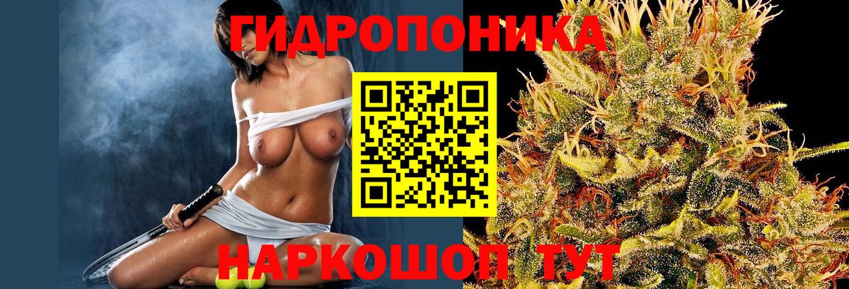 Канабис White Widow Печора
